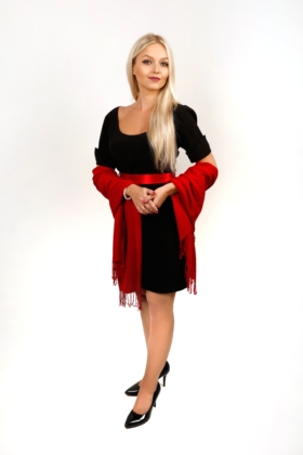 Černé šaty s rukávy a hlubokým výstřihem, kombinace s červeným plédem